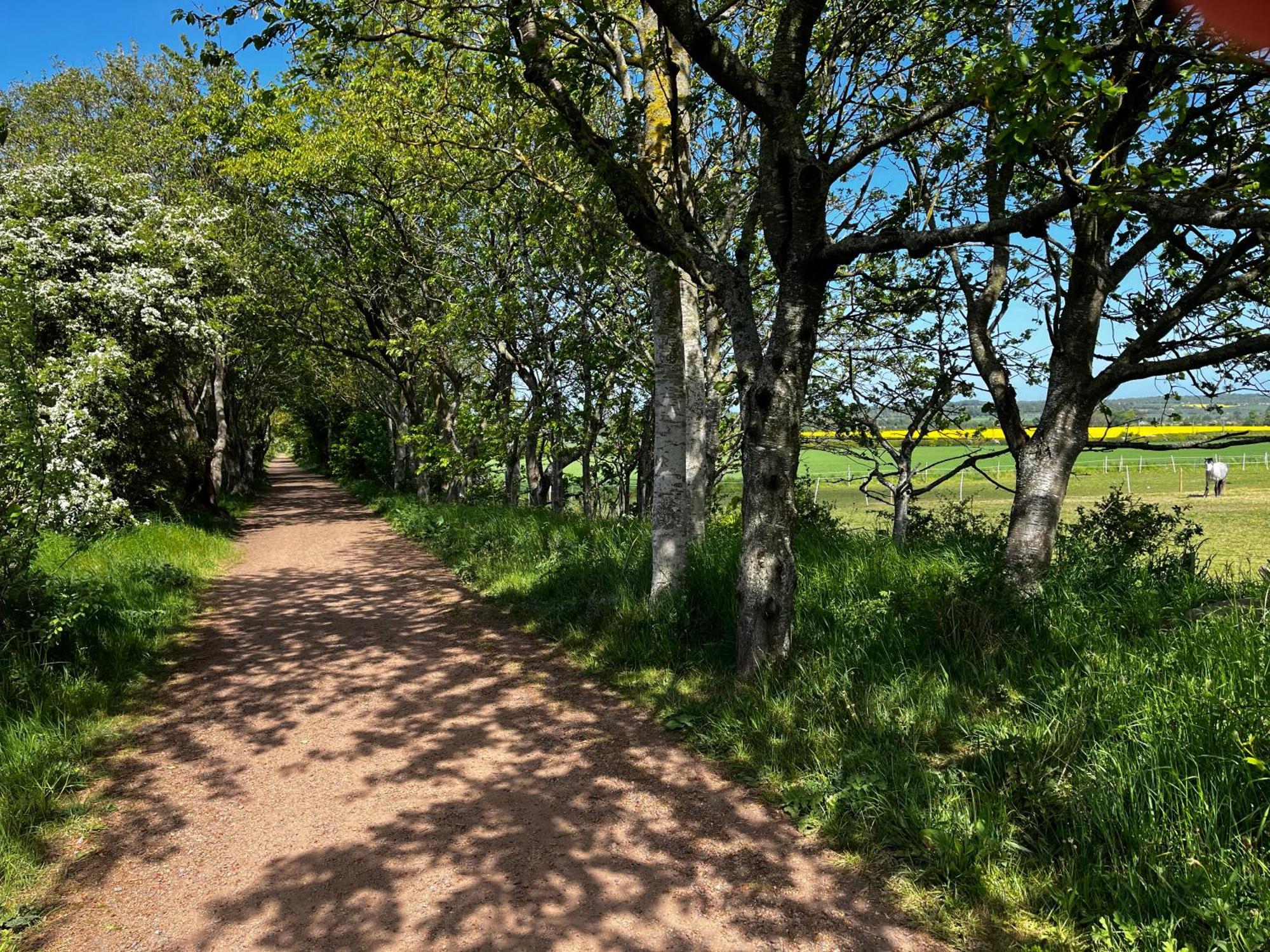 Islay House,Comfortable Home With Private Garden, Pencaitland, East Lothian, Scotland Exteriör bild